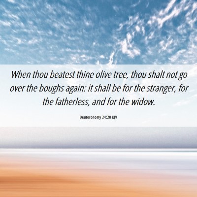 Picture 06 - Deuteronomy 24:20 KJV - When thou beatest thine olive tree, thou shalt - Bible Verse Picture