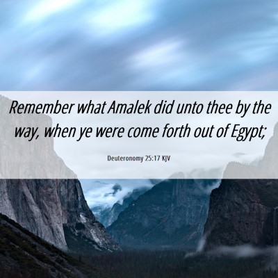 Picture 06 - Deuteronomy 25:17 KJV - Remember what Amalek did unto thee by the way, - Bible Verse Picture