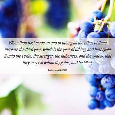 Picture 06 - Deuteronomy 26:12 KJV - When thou hast made an end of tithing all the - Bible Verse Picture