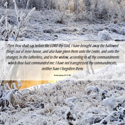 Picture 06 - Deuteronomy 26:13 KJV - Then thou shalt say before the LORD thy God, I - Bible Verse Picture