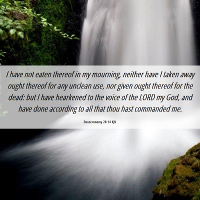 Picture 06 - Deuteronomy 26:14 KJV - I have not eaten thereof in my mourning, neither - Bible Verse Picture
