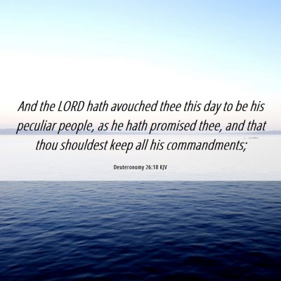 Picture 06 - Deuteronomy 26:18 KJV - And the LORD hath avouched thee this day to be - Bible Verse Picture