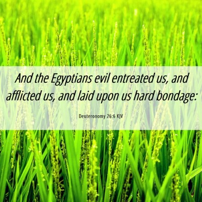 Picture 06 - Deuteronomy 26:6 KJV - And the Egyptians evil entreated us, and - Bible Verse Picture