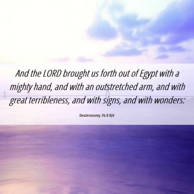 Picture 06 - Deuteronomy 26:8 KJV - And the LORD brought us forth out of Egypt with a - Bible Verse Picture