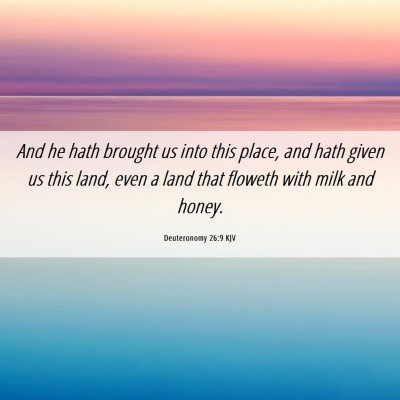 Picture 06 - Deuteronomy 26:9 KJV - And he hath brought us into this place, and hath - Bible Verse Picture