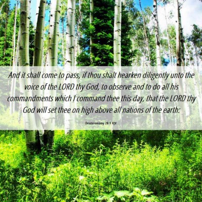 Picture 06 - Deuteronomy 28:1 KJV - And it shall come to pass, if thou shalt hearken - Bible Verse Picture