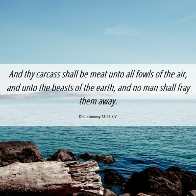 Picture 06 - Deuteronomy 28:26 KJV - And thy carcass shall be meat unto all fowls of - Bible Verse Picture