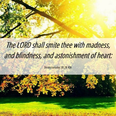 Picture 06 - Deuteronomy 28:28 KJV - The LORD shall smite thee with madness, and - Bible Verse Picture