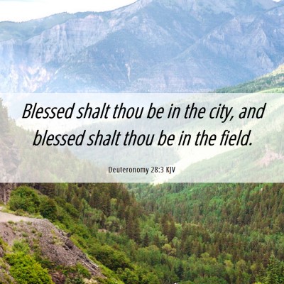 Picture 06 - Deuteronomy 28:3 KJV - Blessed shalt thou be in the city, and blessed - Bible Verse Picture