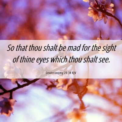 Picture 06 - Deuteronomy 28:34 KJV - So that thou shalt be mad for the sight of thine - Bible Verse Picture