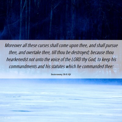 Picture 06 - Deuteronomy 28:45 KJV - Moreover all these curses shall come upon thee, - Bible Verse Picture