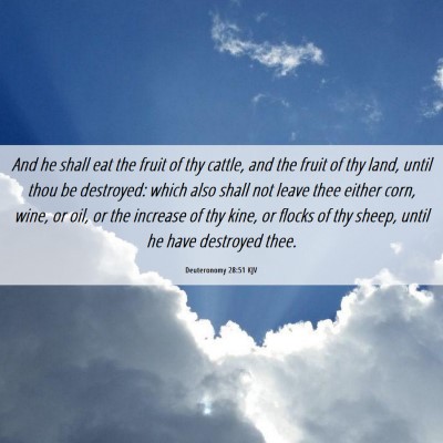 Picture 06 - Deuteronomy 28:51 KJV - And he shall eat the fruit of thy cattle, and the - Bible Verse Picture