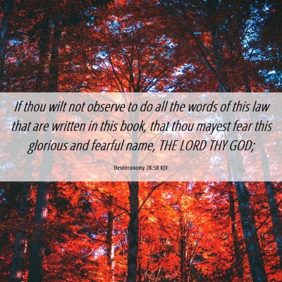 Picture 06 - Deuteronomy 28:58 KJV - If thou wilt not observe to do all the words of - Bible Verse Picture