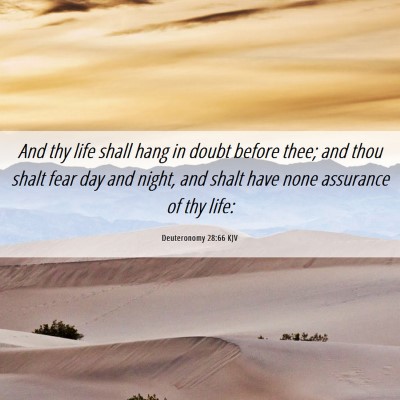 Picture 06 - Deuteronomy 28:66 KJV - And thy life shall hang in doubt before thee; and - Bible Verse Picture