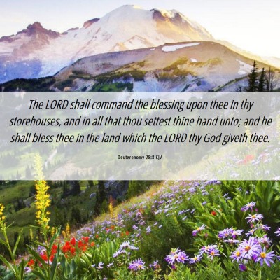 Picture 06 - Deuteronomy 28:8 KJV - The LORD shall command the blessing upon thee in - Bible Verse Picture