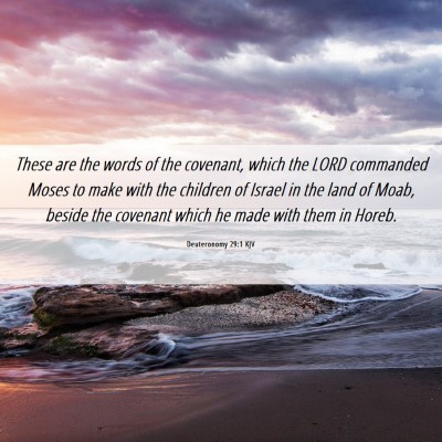 Picture 06 - Deuteronomy 29:1 KJV - These are the words of the covenant, which the - Bible Verse Picture
