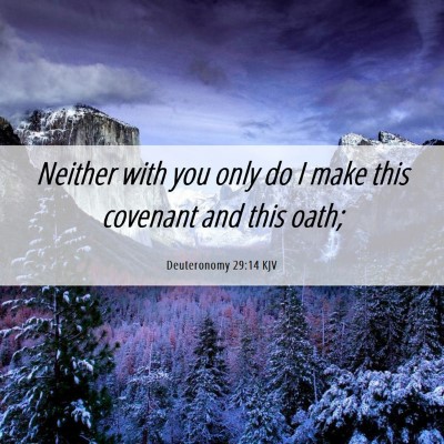 Picture 06 - Deuteronomy 29:14 KJV - Neither with you only do I make this covenant and - Bible Verse Picture