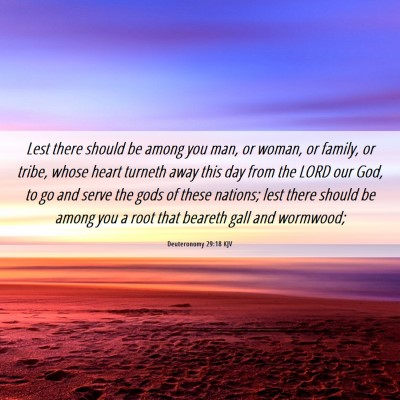 Picture 06 - Deuteronomy 29:18 KJV - Lest there should be among you man, or woman, or - Bible Verse Picture
