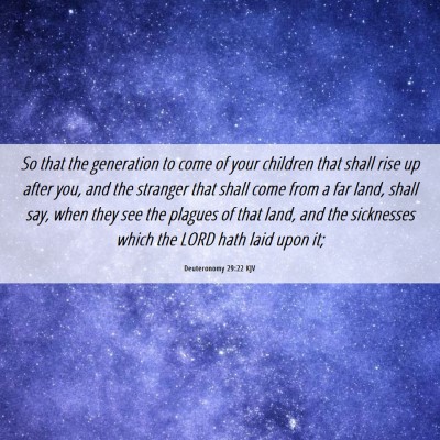 Picture 06 - Deuteronomy 29:22 KJV - So that the generation to come of your children - Bible Verse Picture