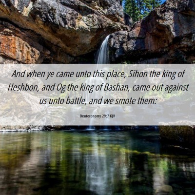 Picture 06 - Deuteronomy 29:7 KJV - And when ye came unto this place, Sihon the king - Bible Verse Picture