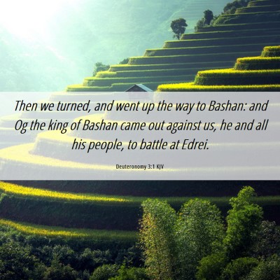 Picture 06 - Deuteronomy 3:1 KJV - Then we turned, and went up the way to Bashan: - Bible Verse Picture