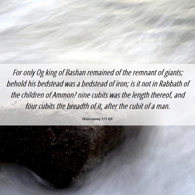 Picture 06 - Deuteronomy 3:11 KJV - For only Og king of Bashan remained of the - Bible Verse Picture