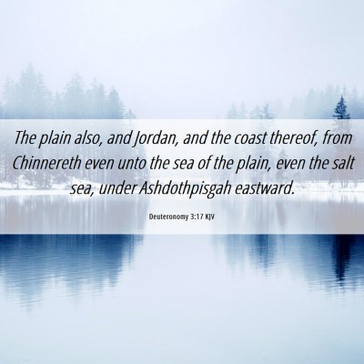 Picture 06 - Deuteronomy 3:17 KJV - The plain also, and Jordan, and the coast - Bible Verse Picture