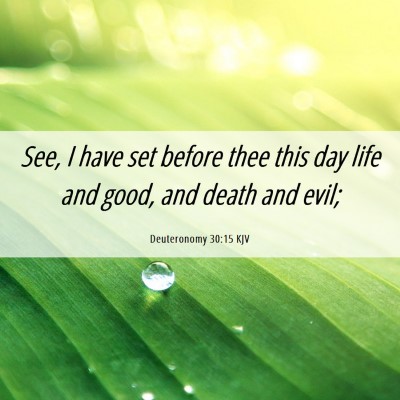 Picture 06 - Deuteronomy 30:15 KJV - See, I have set before thee this day life and - Bible Verse Picture