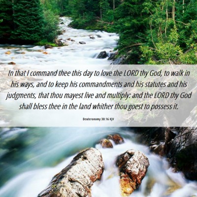 Picture 06 - Deuteronomy 30:16 KJV - In that I command thee this day to love the LORD - Bible Verse Picture