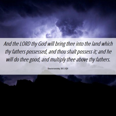 Picture 06 - Deuteronomy 30:5 KJV - And the LORD thy God will bring thee into the - Bible Verse Picture