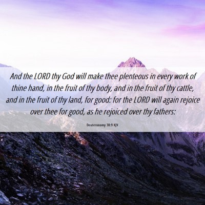 Picture 06 - Deuteronomy 30:9 KJV - And the LORD thy God will make thee plenteous in - Bible Verse Picture