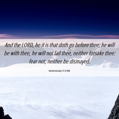 Picture 06 - Deuteronomy 31:8 KJV - And the LORD, he it is that doth go before thee; - Bible Verse Picture