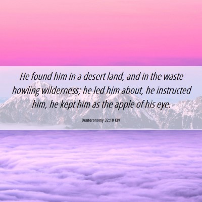 Picture 06 - Deuteronomy 32:10 KJV - He found him in a desert land, and in the waste - Bible Verse Picture