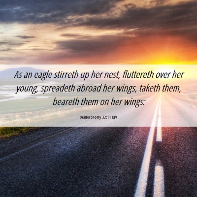 Picture 06 - Deuteronomy 32:11 KJV - As an eagle stirreth up her nest, fluttereth over - Bible Verse Picture