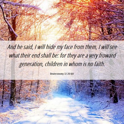 Picture 06 - Deuteronomy 32:20 KJV - And he said, I will hide my face from them, I - Bible Verse Picture
