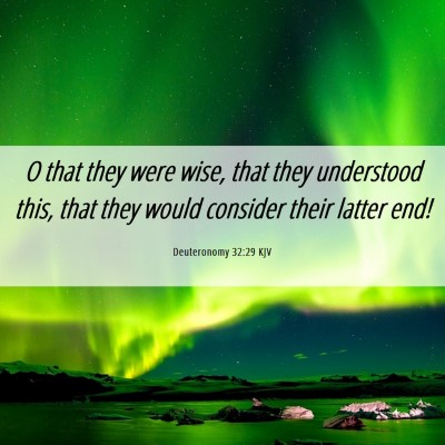 Picture 06 - Deuteronomy 32:29 KJV - O that they were wise, that they understood this, - Bible Verse Picture