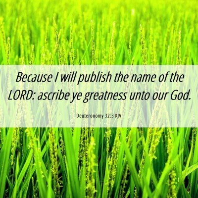 Picture 06 - Deuteronomy 32:3 KJV - Because I will publish the name of the LORD: - Bible Verse Picture