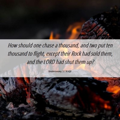 Picture 06 - Deuteronomy 32:30 KJV - How should one chase a thousand, and two put ten - Bible Verse Picture