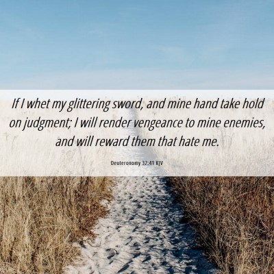 Picture 06 - Deuteronomy 32:41 KJV - If I whet my glittering sword, and mine hand take - Bible Verse Picture