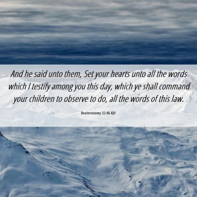 Picture 06 - Deuteronomy 32:46 KJV - And he said unto them, Set your hearts unto all - Bible Verse Picture