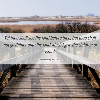 Picture 06 - Deuteronomy 32:52 KJV - Yet thou shalt see the land before thee; but thou - Bible Verse Picture