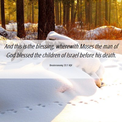 Picture 06 - Deuteronomy 33:1 KJV - And this is the blessing, wherewith Moses the man - Bible Verse Picture