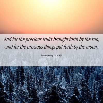 Picture 06 - Deuteronomy 33:14 KJV - And for the precious fruits brought forth by the - Bible Verse Picture