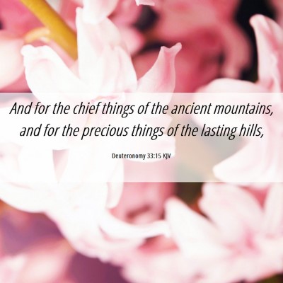 Picture 06 - Deuteronomy 33:15 KJV - And for the chief things of the ancient - Bible Verse Picture