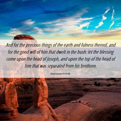 Picture 06 - Deuteronomy 33:16 KJV - And for the precious things of the earth and - Bible Verse Picture