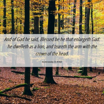Picture 06 - Deuteronomy 33:20 KJV - And of Gad he said, Blessed be he that enlargeth - Bible Verse Picture