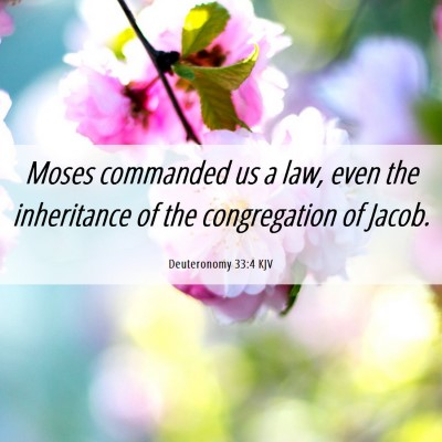 Picture 06 - Deuteronomy 33:4 KJV - Moses commanded us a law, even the inheritance of - Bible Verse Picture