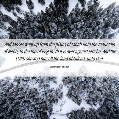 Picture 06 - Deuteronomy 34:1 KJV - And Moses went up from the plains of Moab unto - Bible Verse Picture