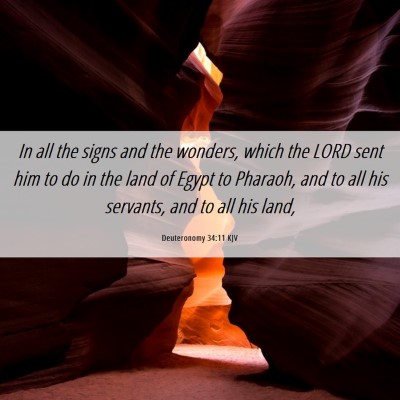Picture 06 - Deuteronomy 34:11 KJV - In all the signs and the wonders, which the LORD - Bible Verse Picture