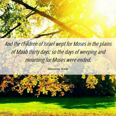 Picture 06 - Deuteronomy 34:8 KJV - And the children of Israel wept for Moses in the - Bible Verse Picture